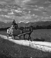 Prevoz tovora s konjsko vprego, Šmarca 1933, foto Peter Naglič