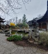 Kitajski vrt, Stuttgart. Foto: Tina Palaić