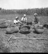 Prebiranje krompirja na njivi, Rožnik 1948, foto: Boris Orel