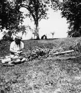 Lupljenje češminovih korenin za uporabo v ljudskem zdravilstvu, Vino 1948, foto: Boris Orel