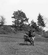 Molža, Ziljska dolina, foto: Jernej Šušteršič, 1951. Hrani dokumentacija SEM.