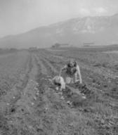 Foto: B. Orel, B. Kuhar, M. Makarovič, J. Skrlep, A. Novak (od leta 1948 - 1956)
