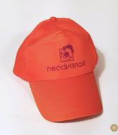 Kapa s ščitnikom in napisom, označevalno pokrivalo sindikalne organizacije Neodvisnost, v rabi na stavkovnem shodu sindikatov delavcev iz gospodarstva 27. marca 2004  / Ljubljana 