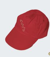 Kapa s ščitnikom in vidnim logotipom Zveze svobodnih sindikatov Slovenije, v rabi na demonstracijah delavskih sindikatov proti načrtovanim reformam 26.11.2005 / Ljubljana / iz zbirke SEM / foto: J. Žagar. 