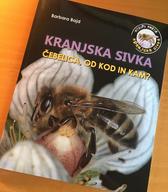 Kranjska sivka: Čebelica, od kod in kam?