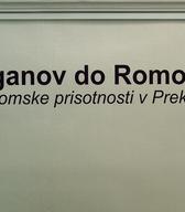 Pogled na razstavo »Od Ciganov do Romov«