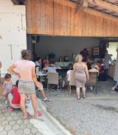  Udeleženke in udeleženci aktivnosti v Šentjerneju, kjer smo vzpostavili zelo intimno vzdušje in si izmenjali veliko izkušenj in uporabnih napotkov. Šentjernej, 6. junij 2025. Foto: Sandi Horvat.