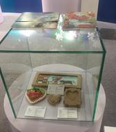 SEMova vitrina na skupinski razstavi Exhibition of the Handicrafts of China – Central Eastern European Countries 
