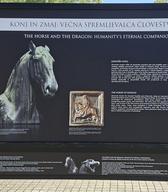 Ulična razstava KONJ IN ZMAJ večna spremljevalca človeštva na Mestnem trgu Slovenske Konjice, FOTO Arhiv TIC Slovenske Konjice
